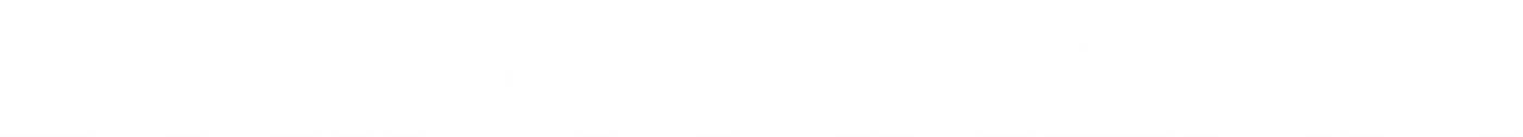 Drift Arena